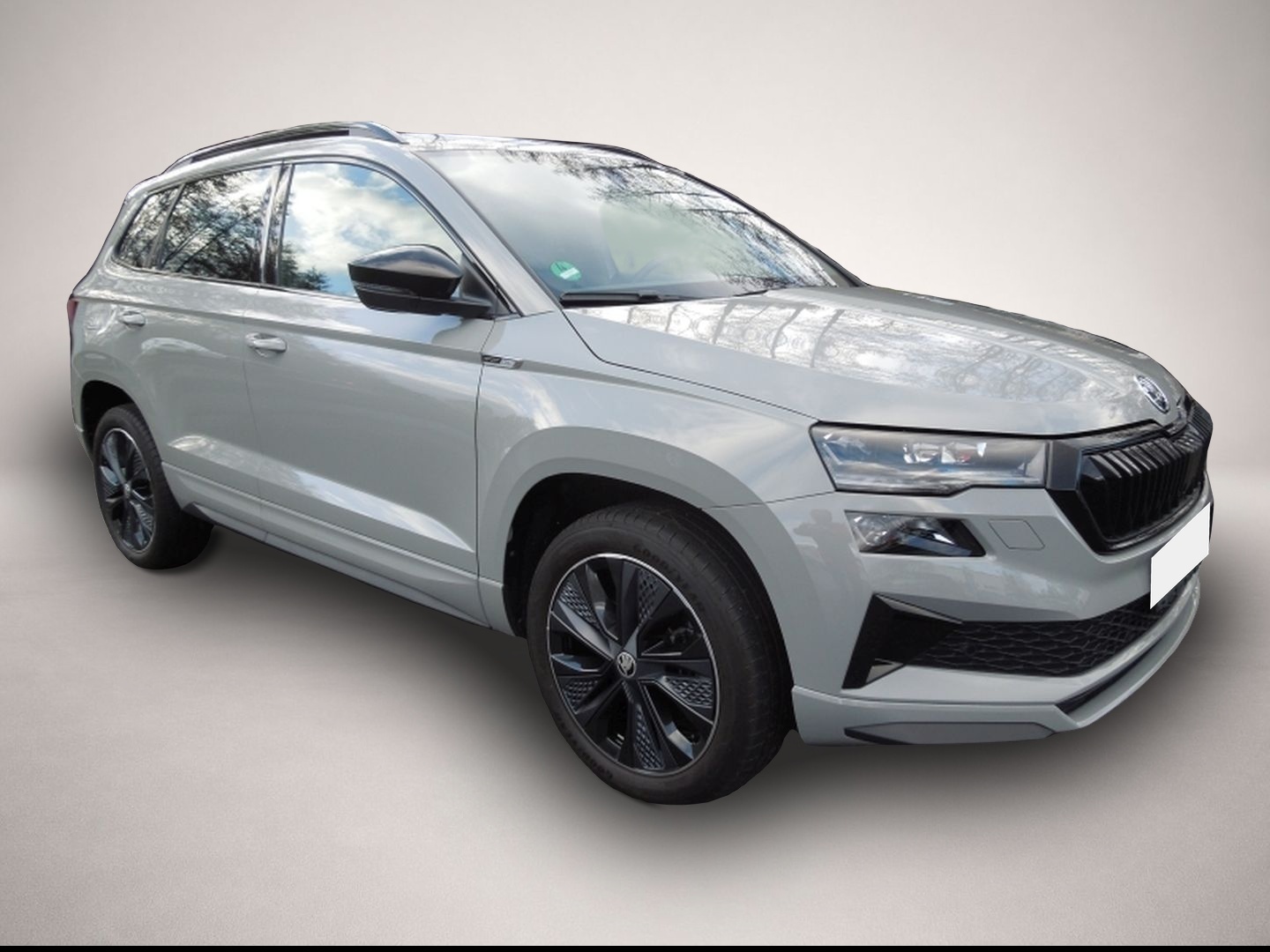 Bild Karoq Skoda