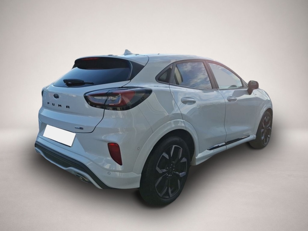 Bild Puma Ford