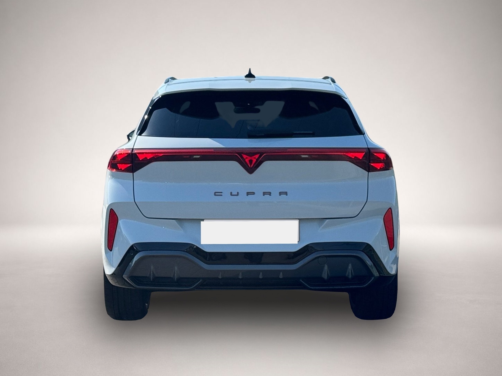 Bild 5 Cupra Terramar VZ 4Drive TSI DSG|AHK|PANO|5-J-GARANTIE