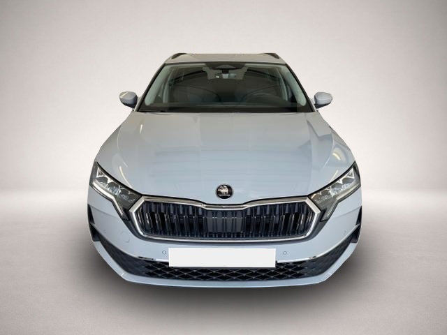 Bild 2 Skoda Octavia Selection 150PS TDI DSG AHK+Kamera+GV4+ACC+Trav.