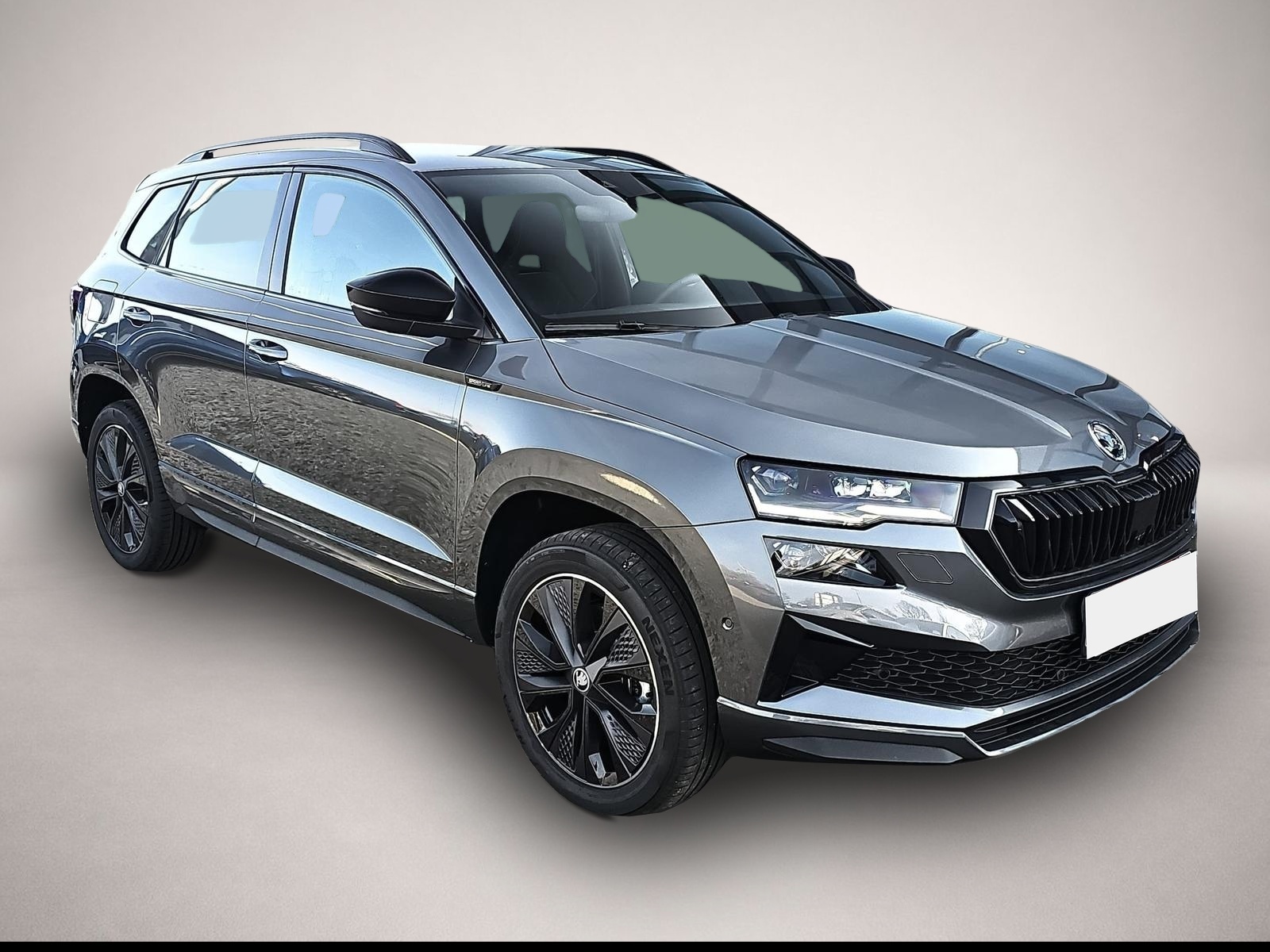 Bild Karoq Skoda