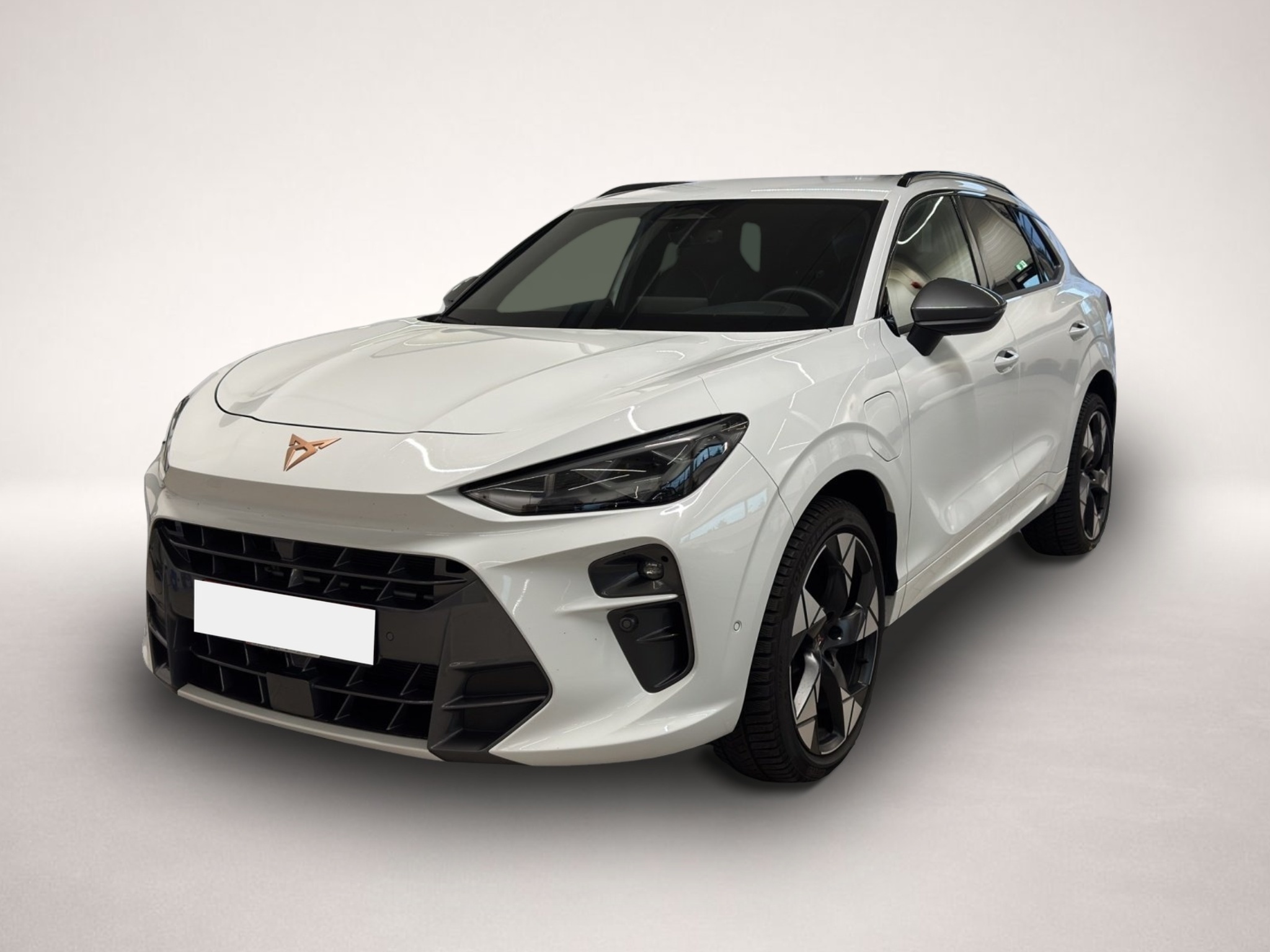 Fotografie Cupra Terramar 1.5 e-Hybrid DSG VZ LED NAVI AHK HUD AC