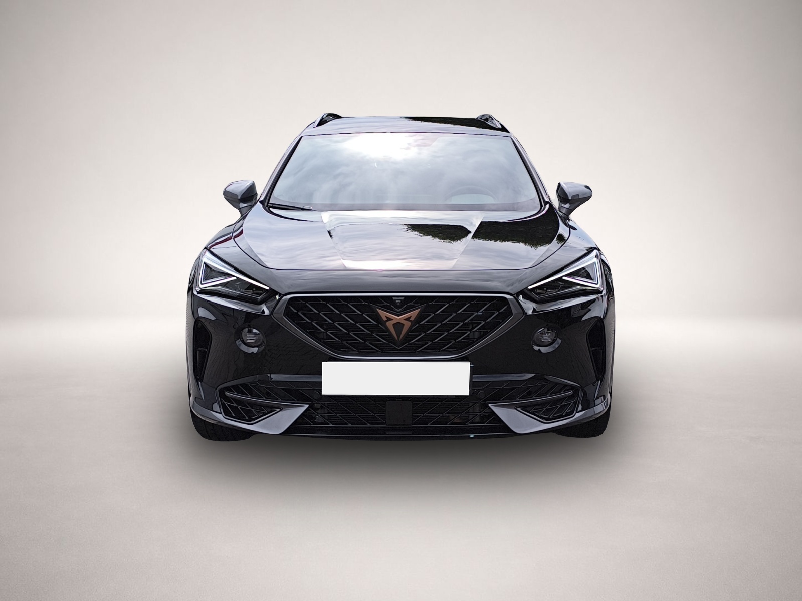 Bild 2 Cupra Formentor 2.0 TSI DSG 4Drive VZ LED NAVI AHK ACC
