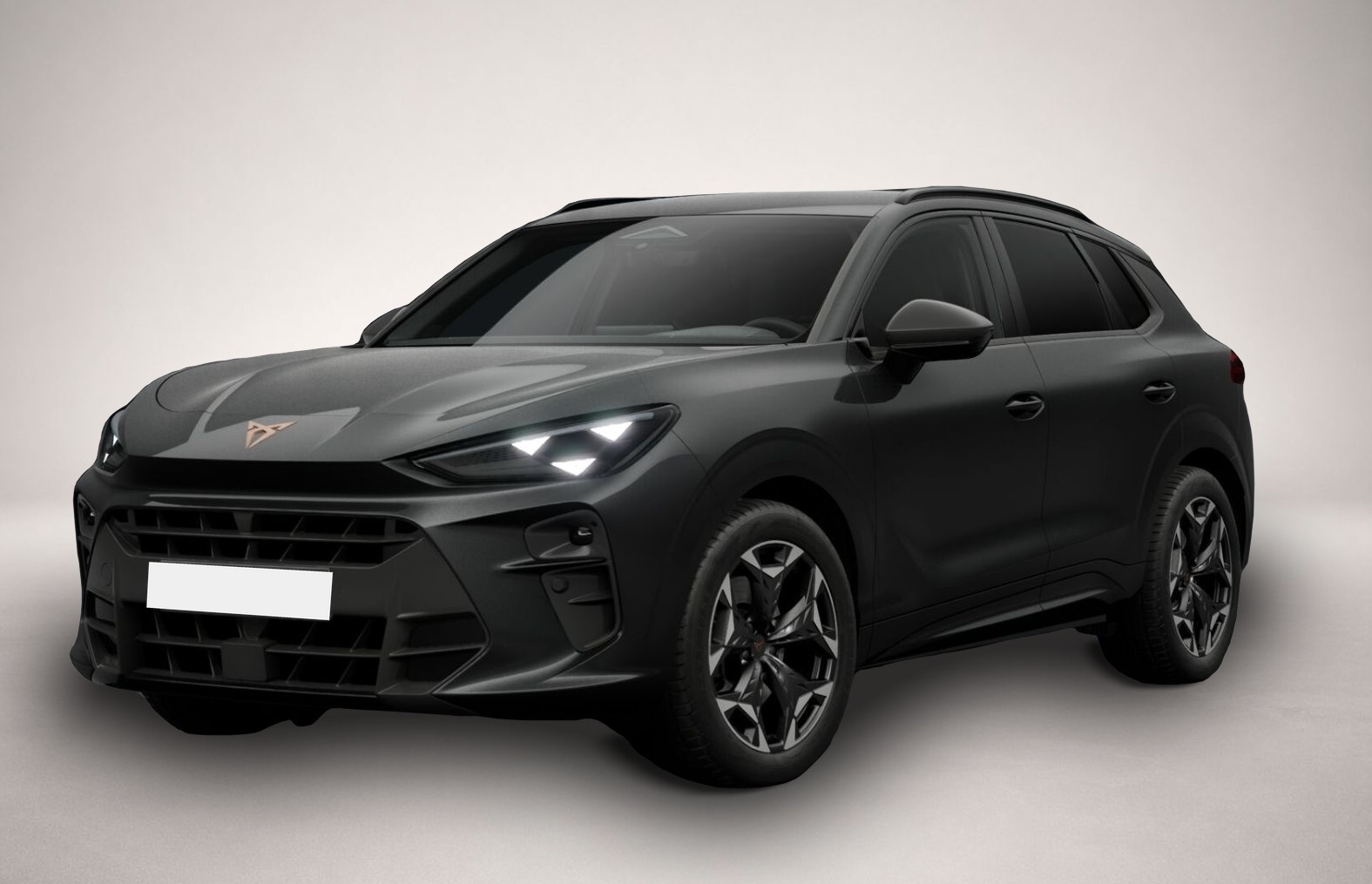 Bild 1 Cupra Terramar 2.0 TSI 7-Gang-DSG 4Drive