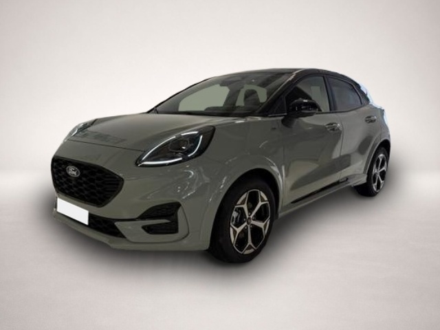 Bild Puma Ford