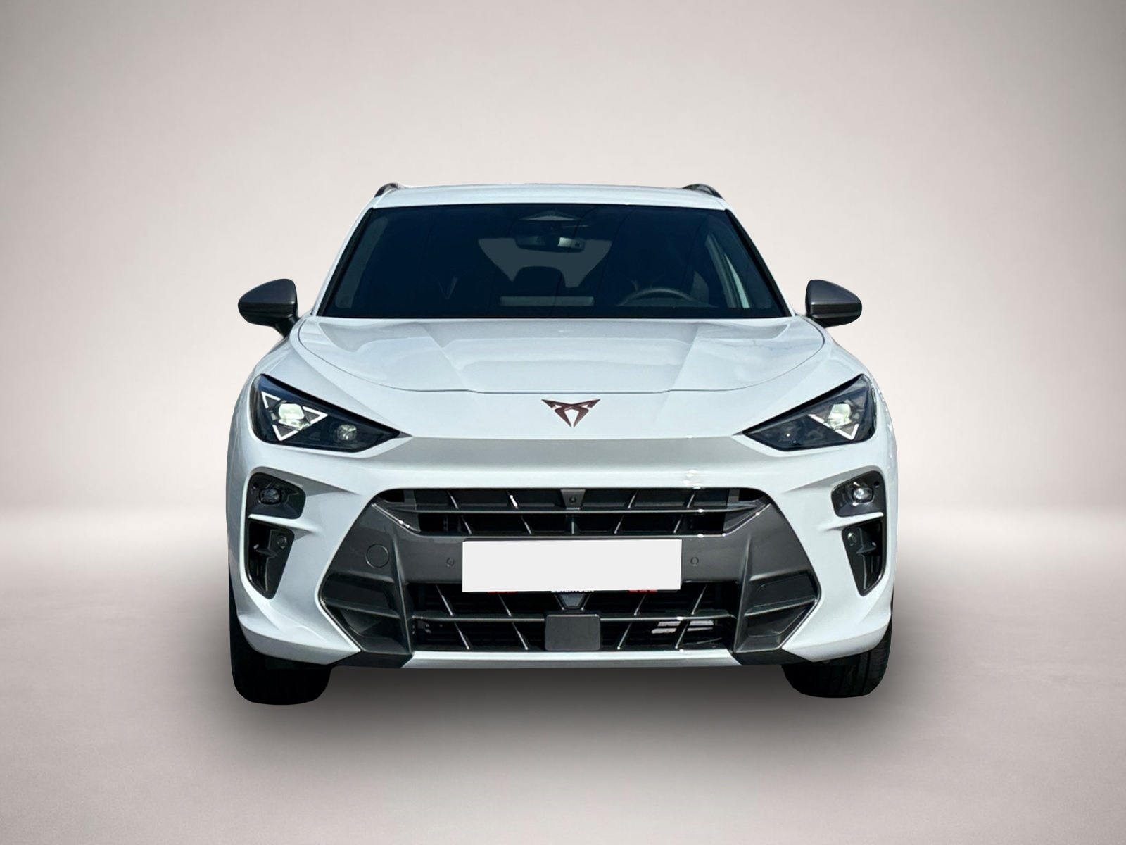 Bild 2 Cupra Terramar eTSI DSG|HEAD-UP|AHK|MATRIX|EDGE|NAVI