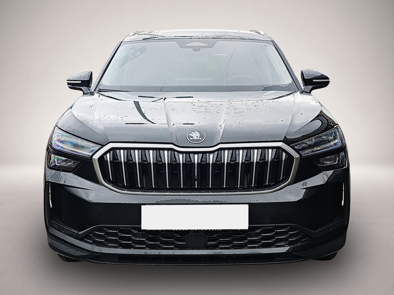 Bild 2 Skoda Kodiaq 2.0 TDI DSG Selection 7-Si. ACC Matrix