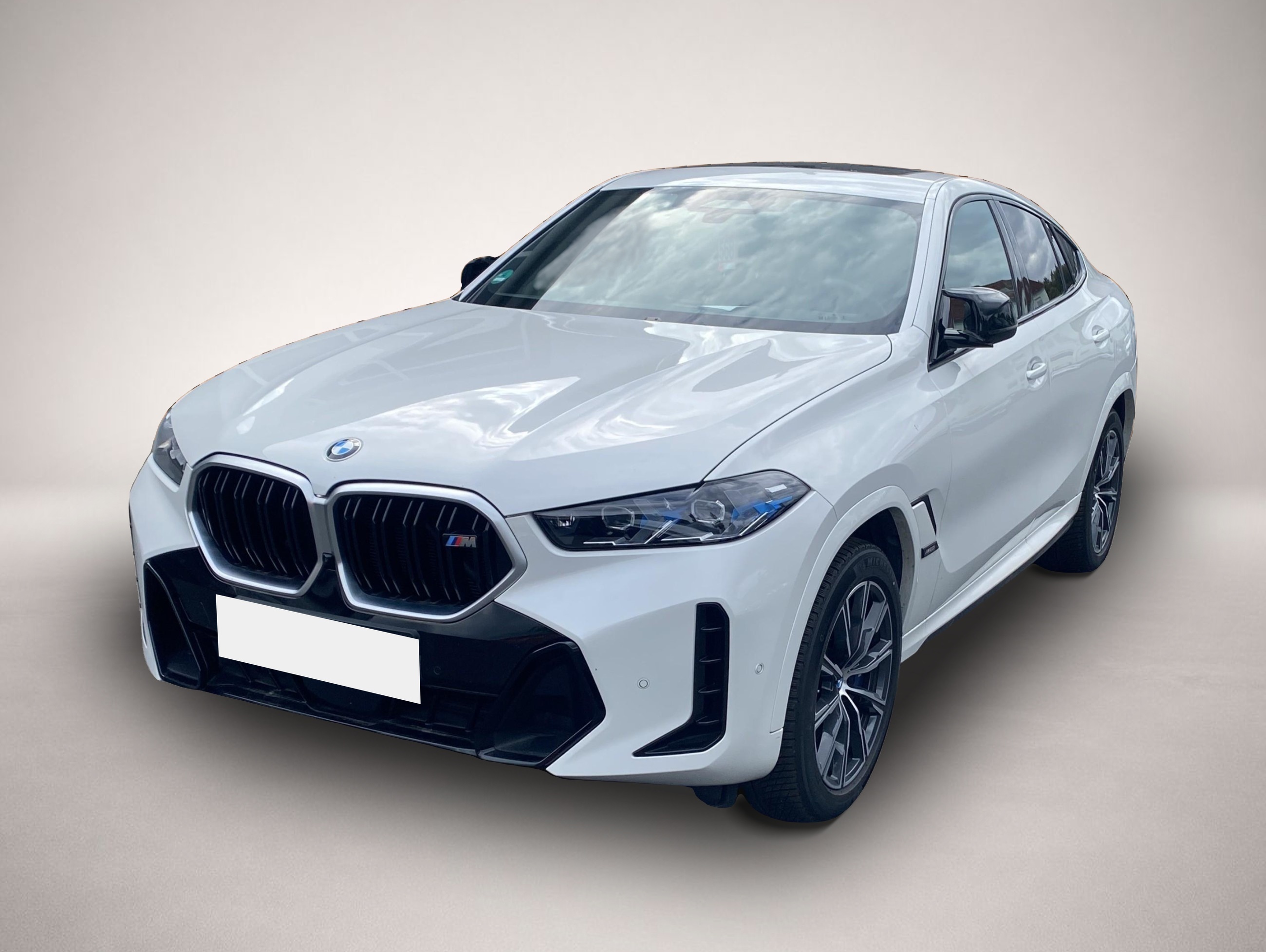 Bild X6 M60 BMW
