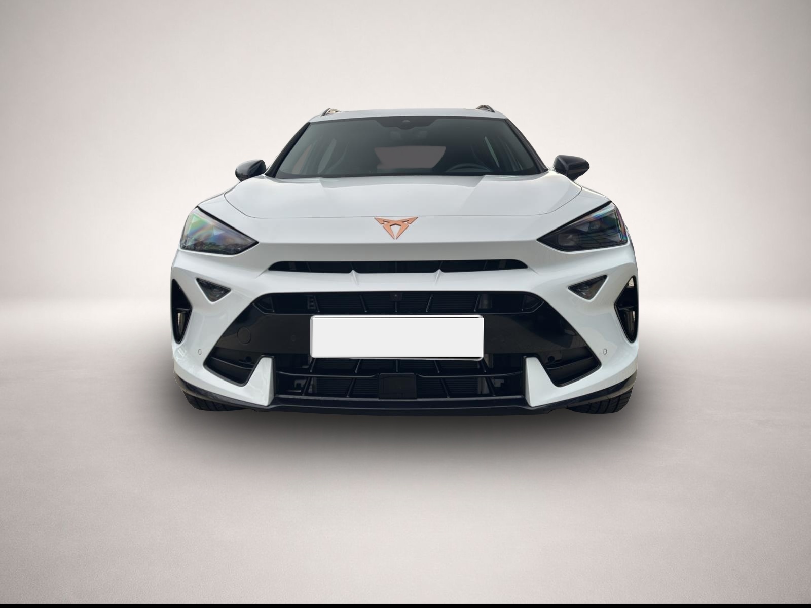 Bild 2 Cupra Formentor 2.0 TSI DSG AB369EUR VZ AHK PANO MATRI