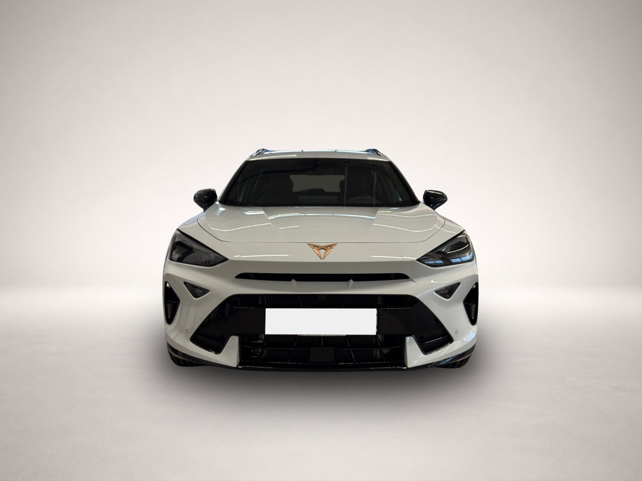 Bild 2 Cupra Formentor 1.5 TSI MATRIX-LED FULL-LINK 18 KAMERA