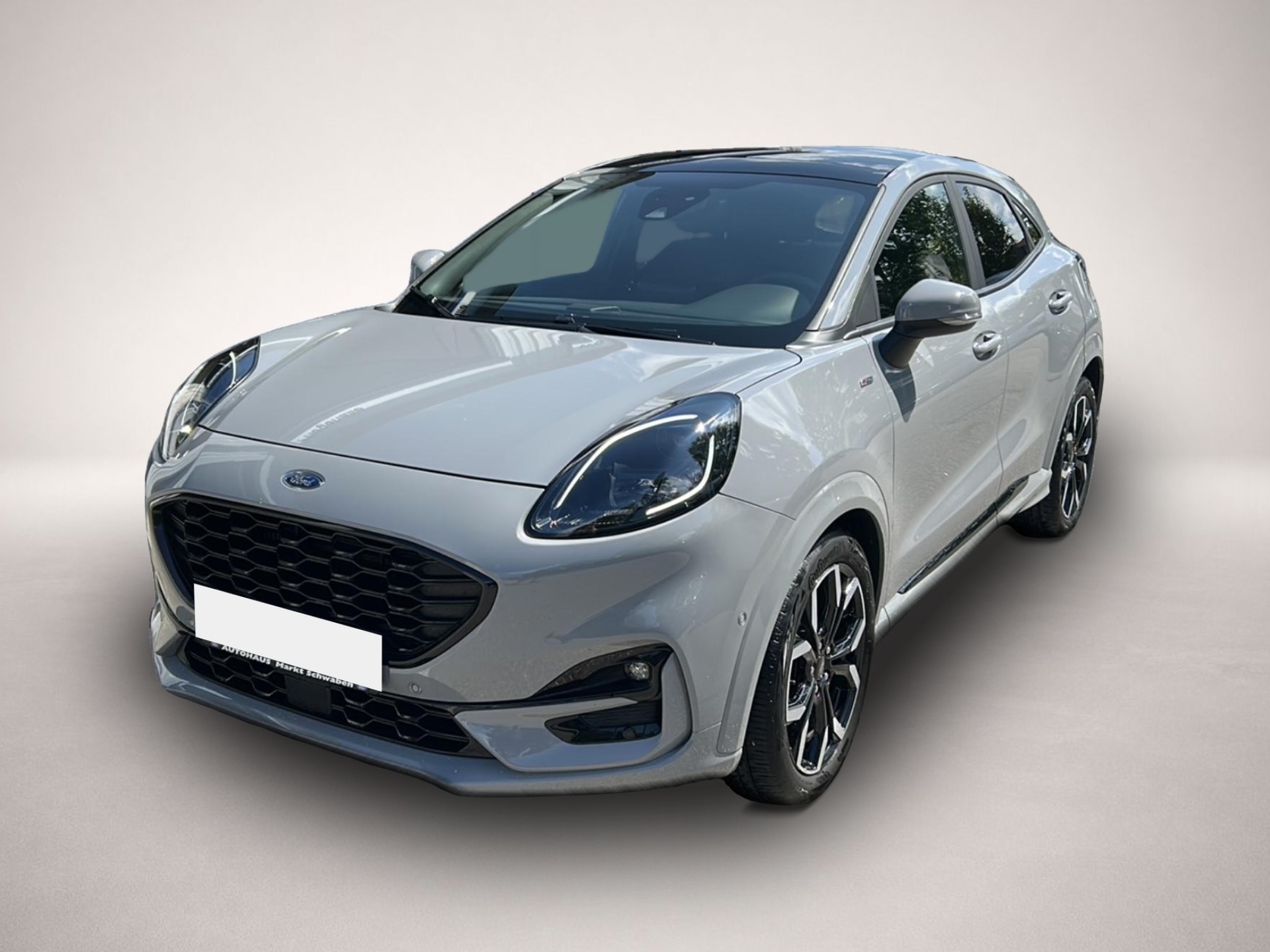 Bild Puma Ford