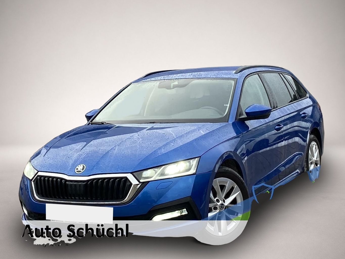 Bild Octavia Skoda