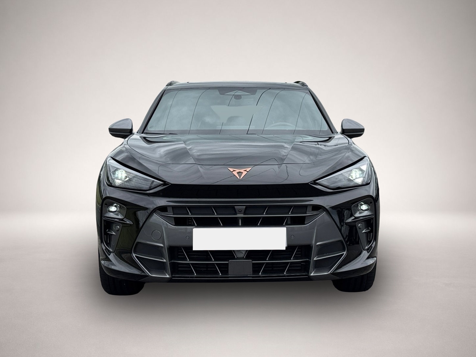 Bild 2 Cupra Terramar VZ 4Drive TSI DSG|AHK|PANO|5-J-GARANTIE
