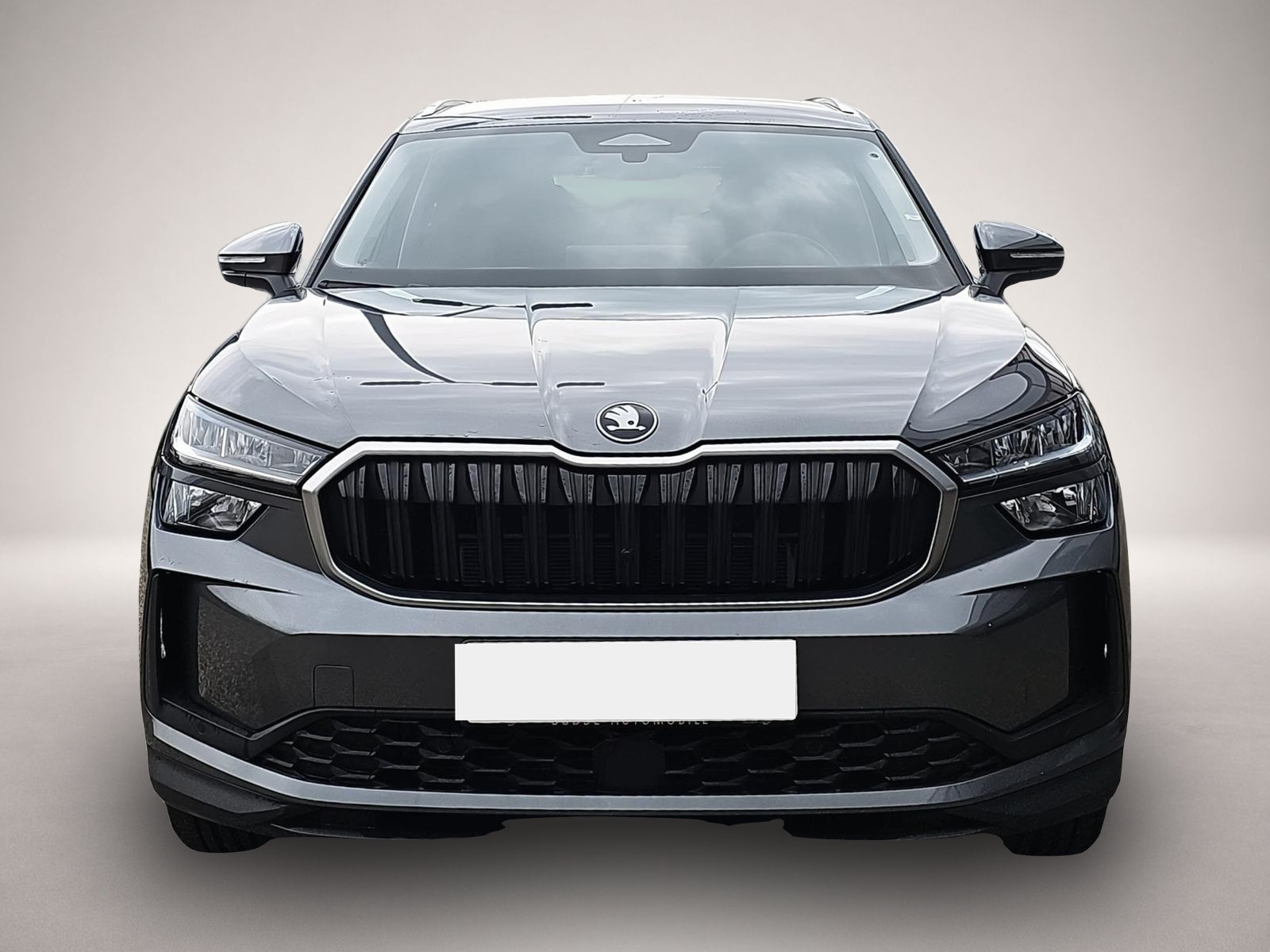 Fotografie 2 des Skoda Kodiaq 2.0 TDI DSG Selection 7Si. / AHK / Navi