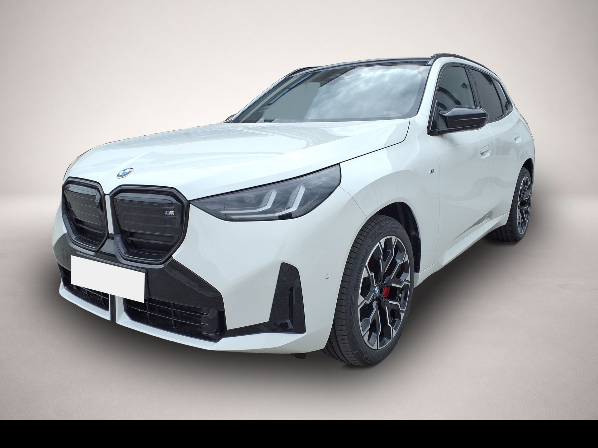 Bild 1 BMW X3 M50 xDrive