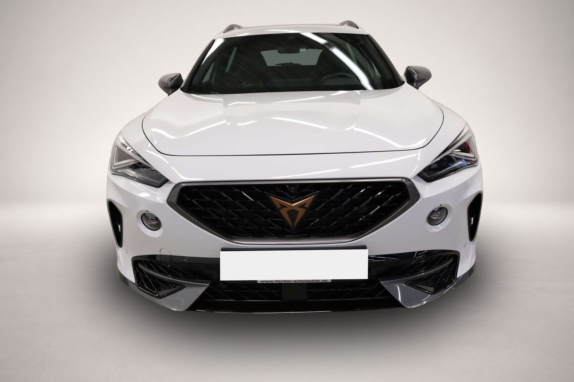 Bild 2 Cupra Formentor 2.0 TSI 4Drive VZ
