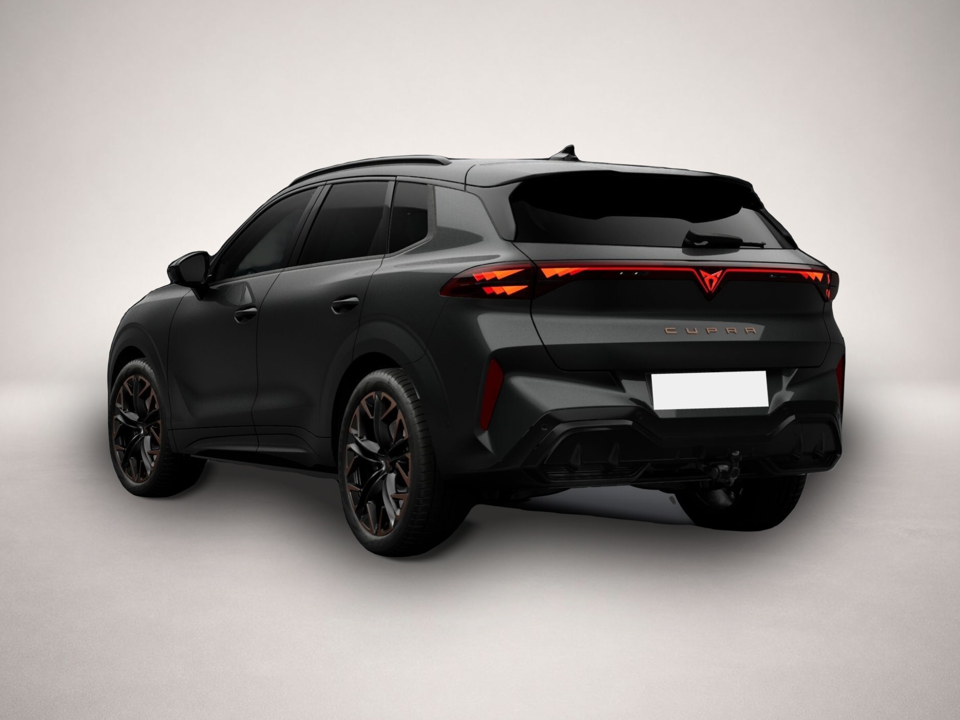 Fotografie 3 des Cupra Terramar 2.0 TSI 7-Gang-DSG 4Drive