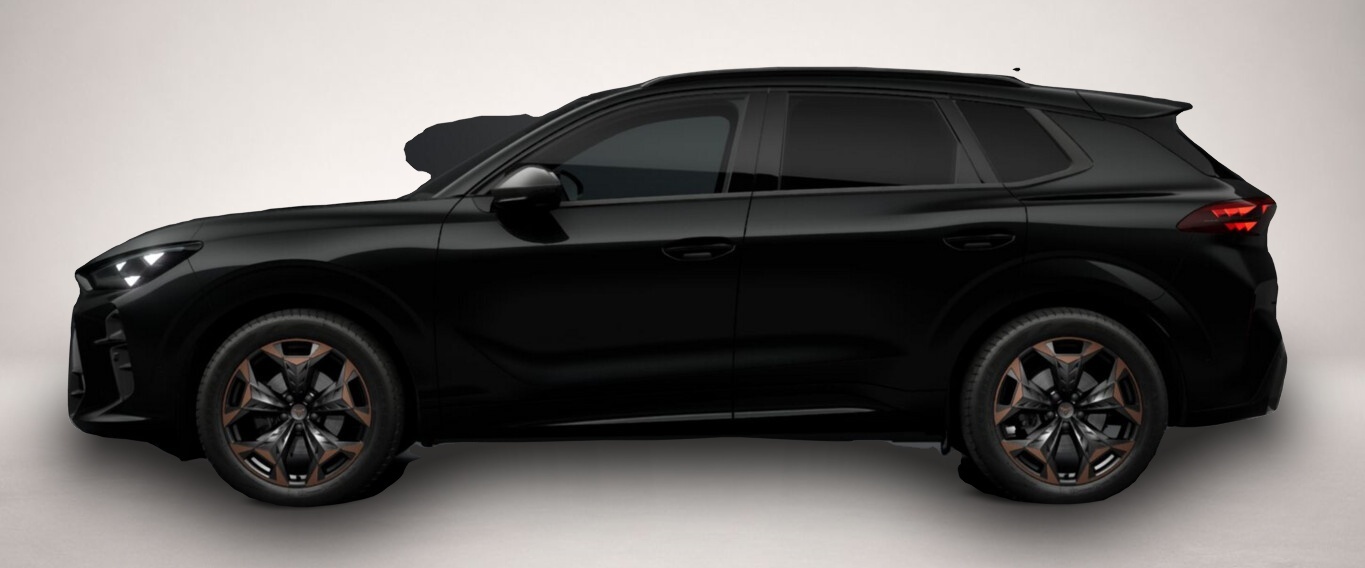 Bild 3 Cupra Terramar DSG Matrix IntelliD Dinamica Edge 360°