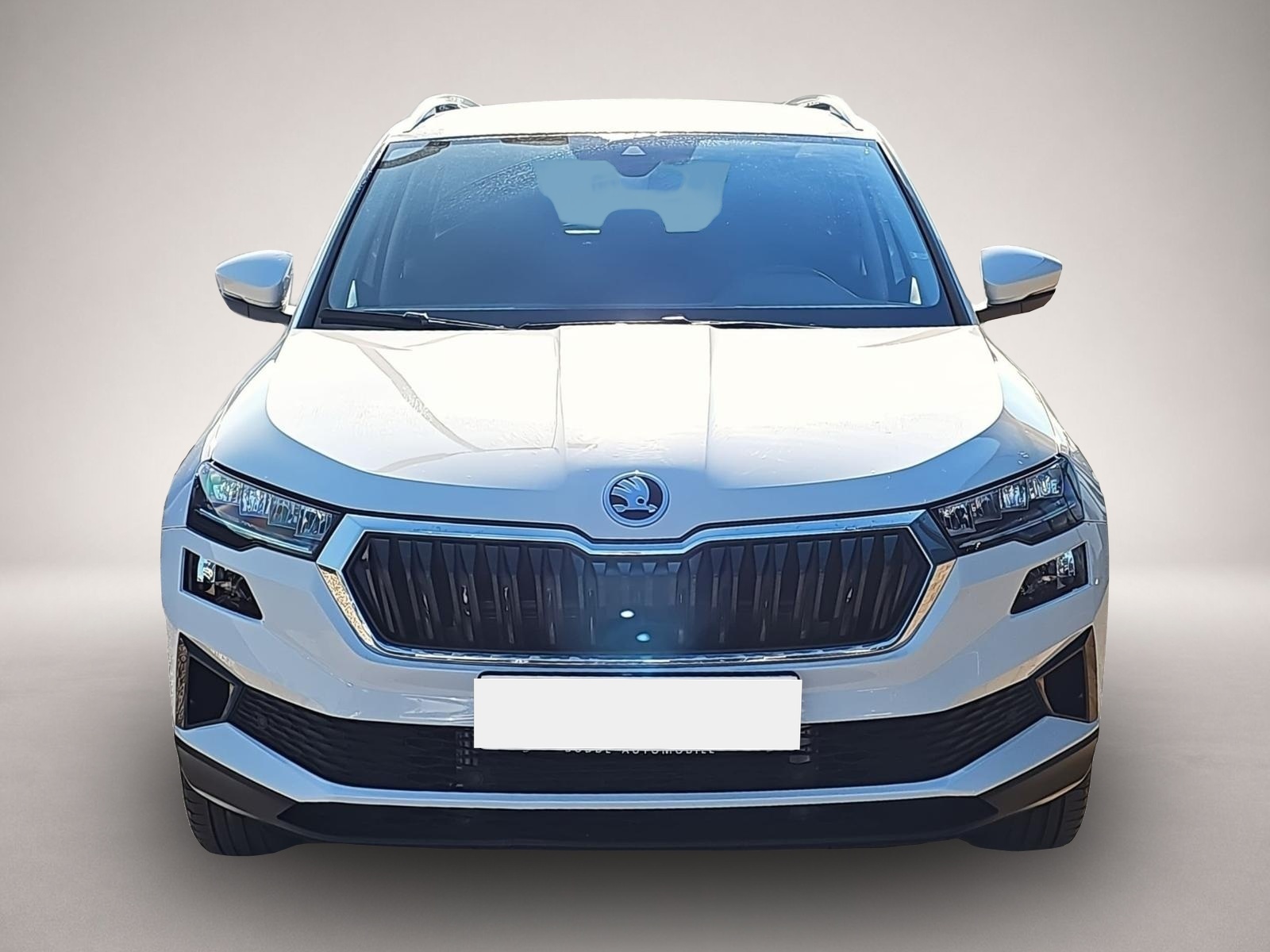 Bild 2 Skoda Karoq 1.5 TSI DSG Selection / ACC / Kessy / PDC
