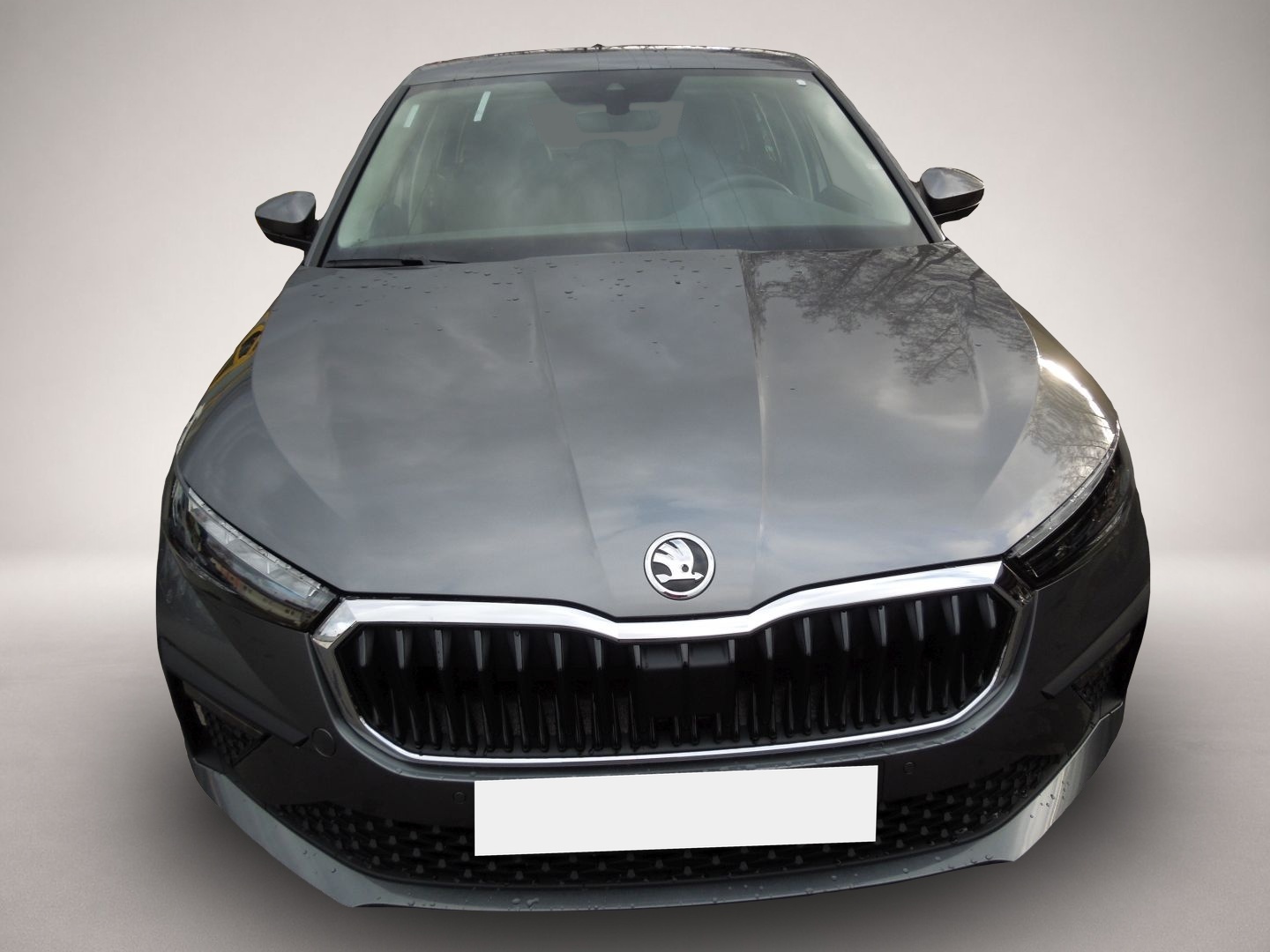 Fotografie 2 des Skoda Scala 1.0 TSI Selection/LED/Sitzheizung/Kamera
