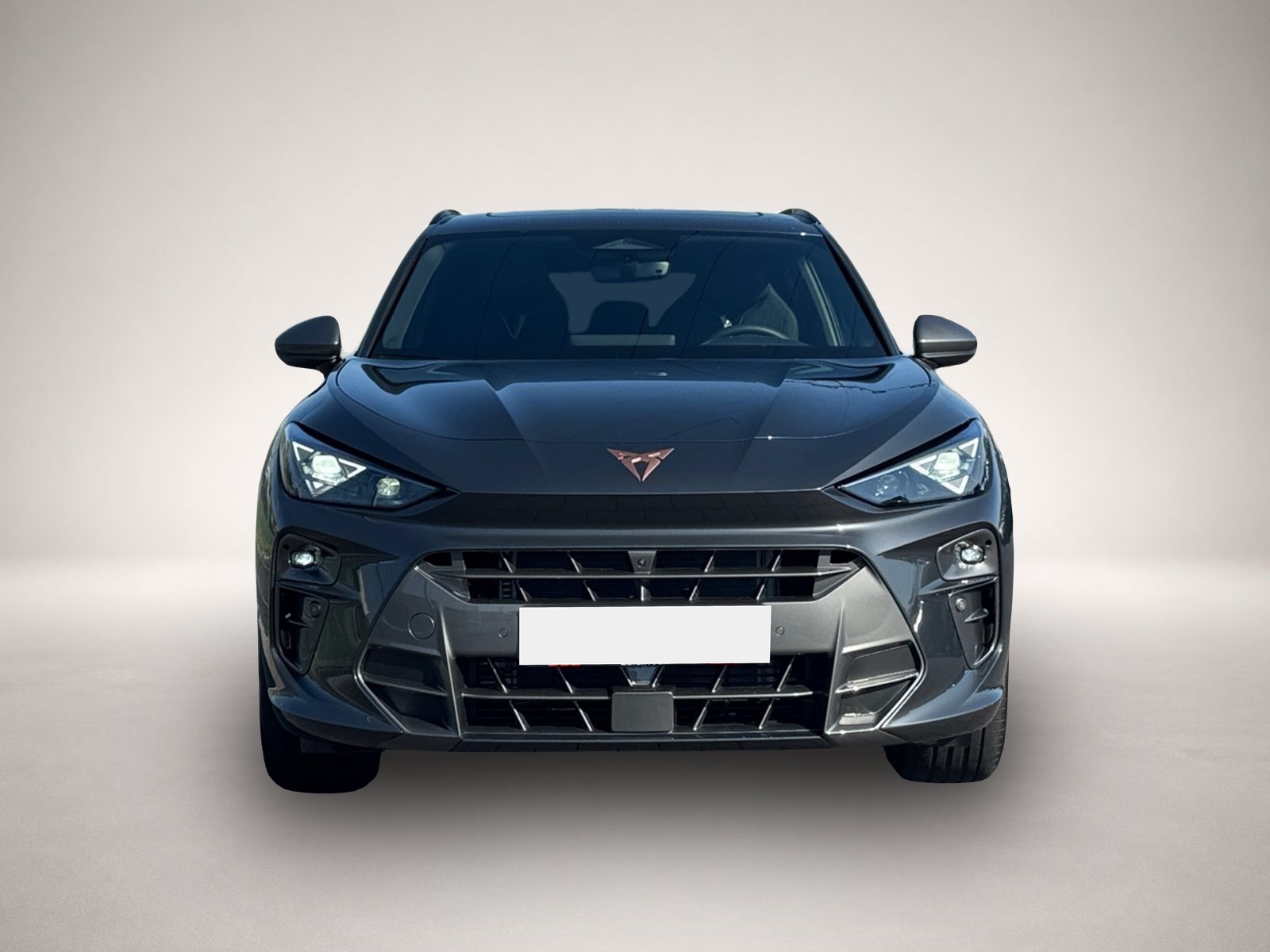 Bild 2 Cupra Terramar 4Drive TSI DSG|AHK|PANO|HEAD-UP|MATRIX