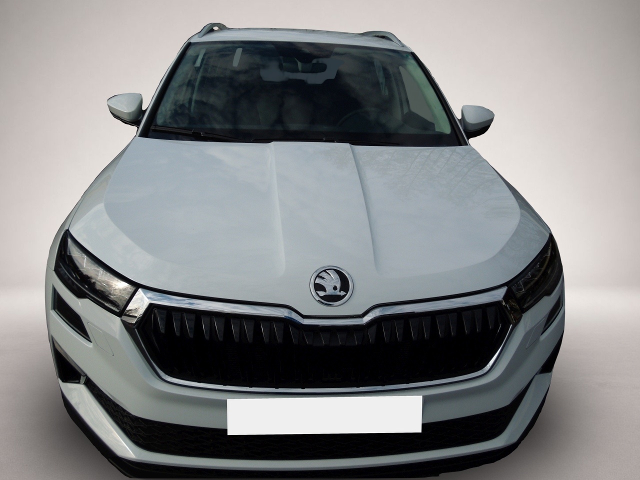 Fotografie 2 des Skoda Karoq 2.0TDI DSG TopSelection/LED/AHK/Navi/Kamer