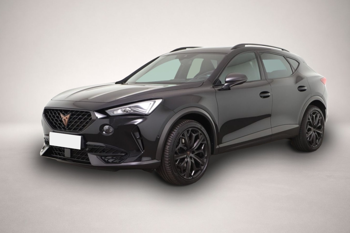 Fotografie Cupra Formentor 2.0 TSI DSG Tribe Edition LED/ACC/Kame