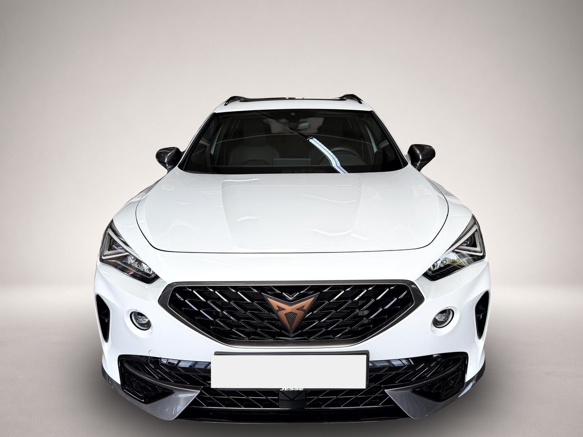 Fotografie 2 des Cupra Formentor 1.5 TSI DSG LED ACC Pano R.Cam