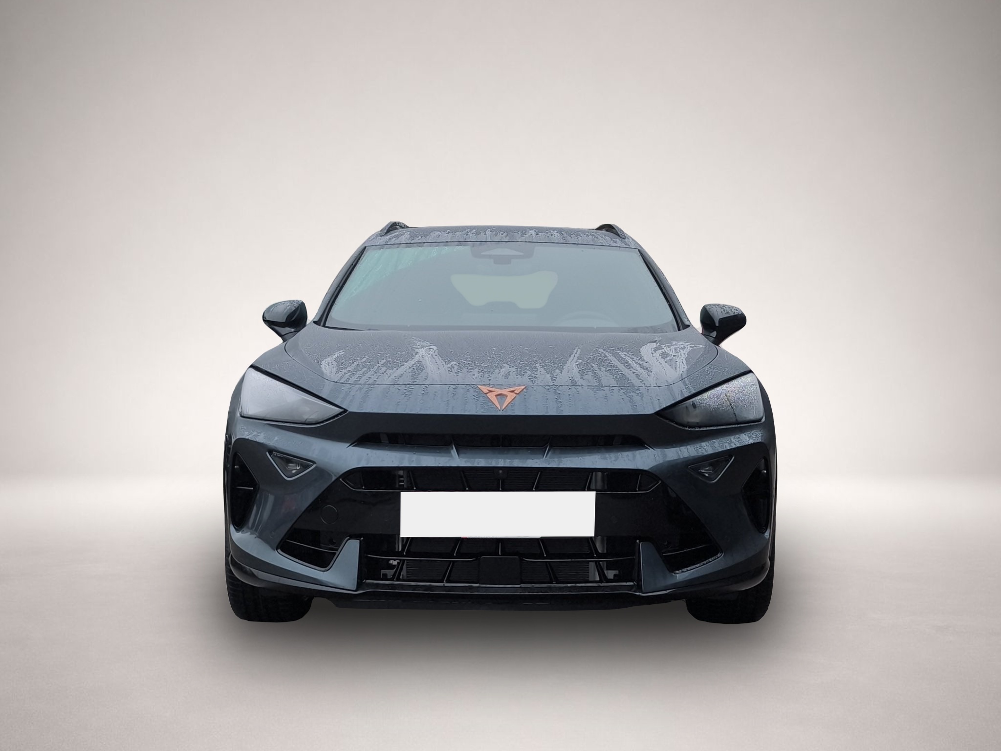 Bild 2 Cupra Formentor 2.0 TSI DSG 4Drive VZ HD-MATRIX NAVI A
