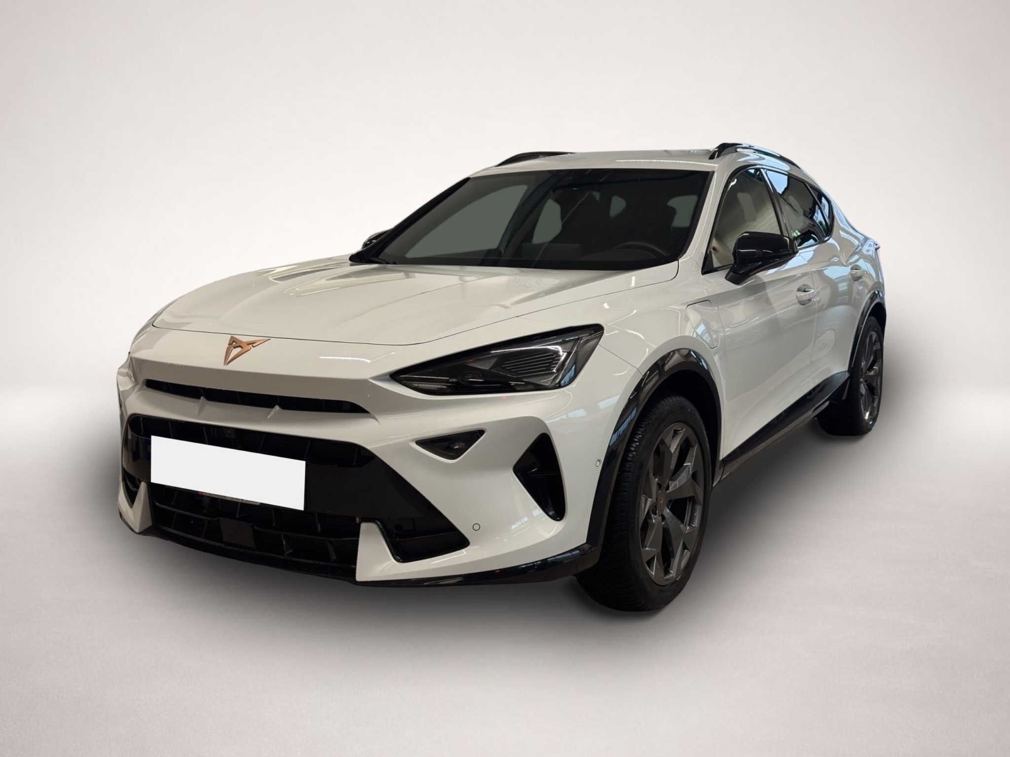 Fotografie 1 des Cupra Formentor 1.5 e-Hybrid DSG LED NAVI ACC SIDEASS