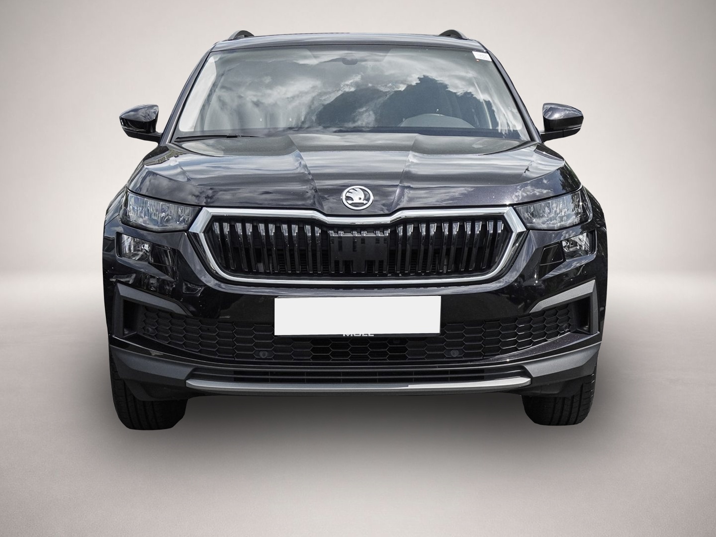 Bild 2 Skoda Kodiaq 2.0 TDI DSG Ambition