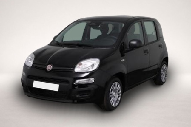 Bild 2 Fiat Panda Pandina Icon Panda (Pandina Icon) 1.0 Mild-Hybr.