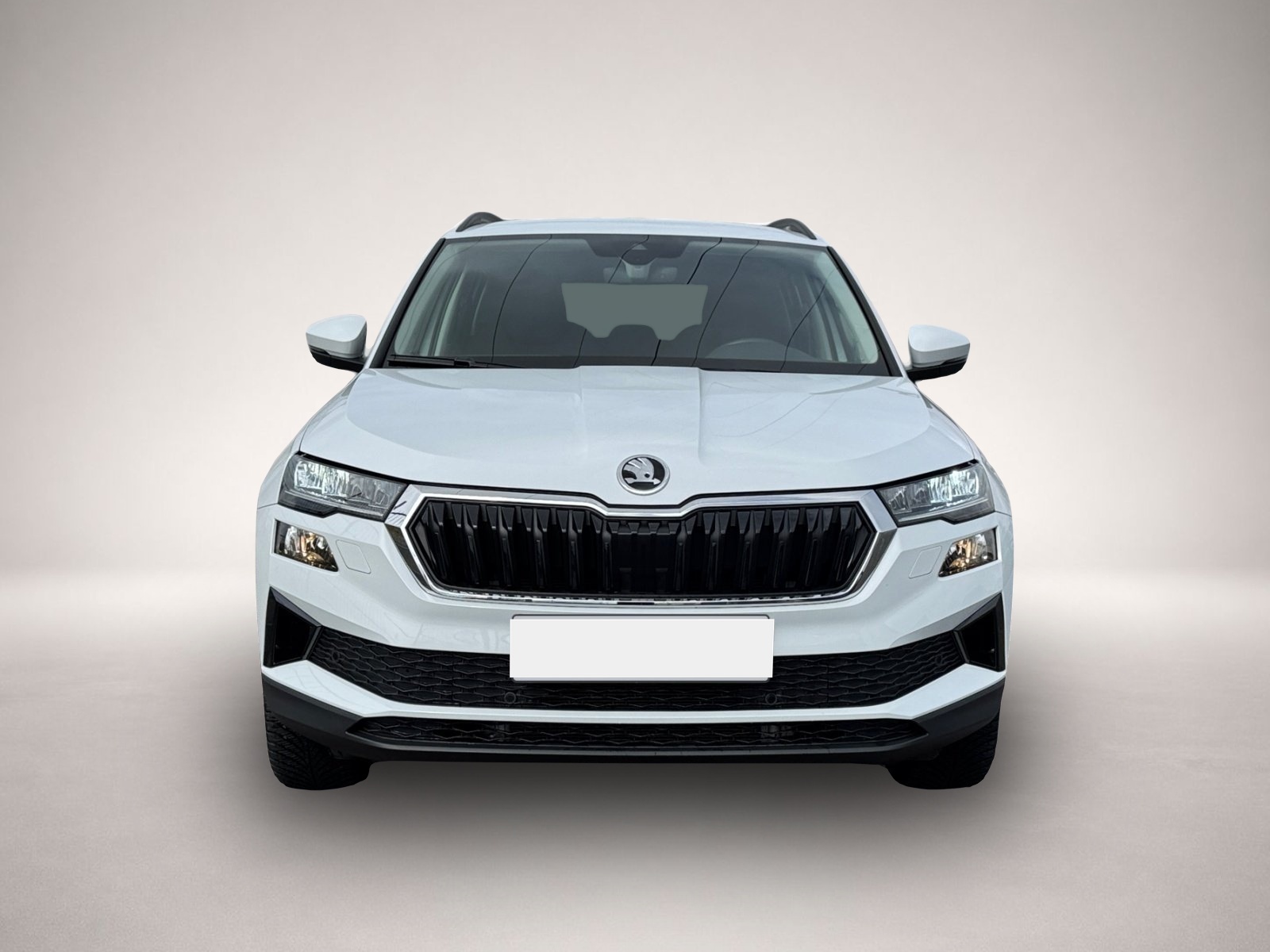 Bild Karoq Skoda