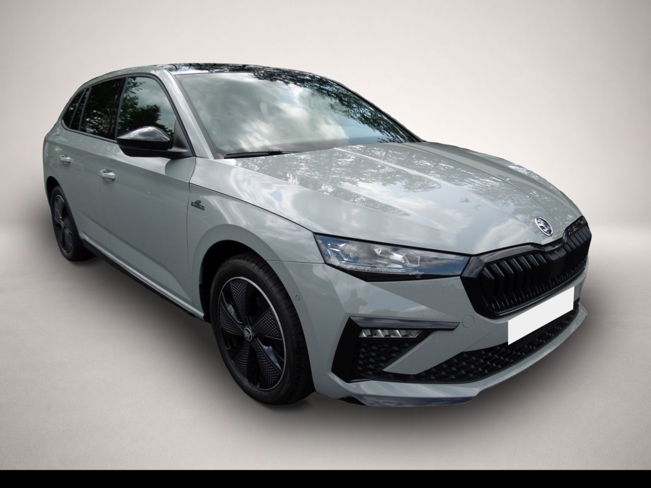 Bild Scala Skoda