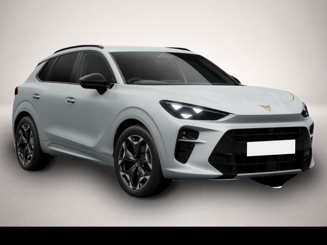 Bild Terramar Cupra