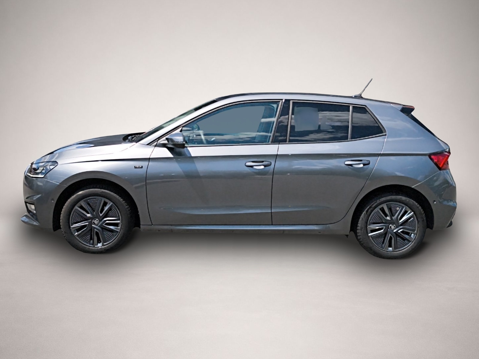 Fotografie 4 des Skoda Fabia 1.0 TSI DSG Tour NAVI RFK ACC PDC SMART LI