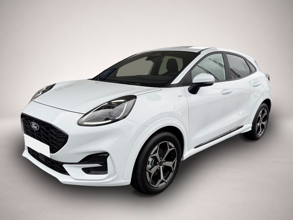 Bild Puma Ford