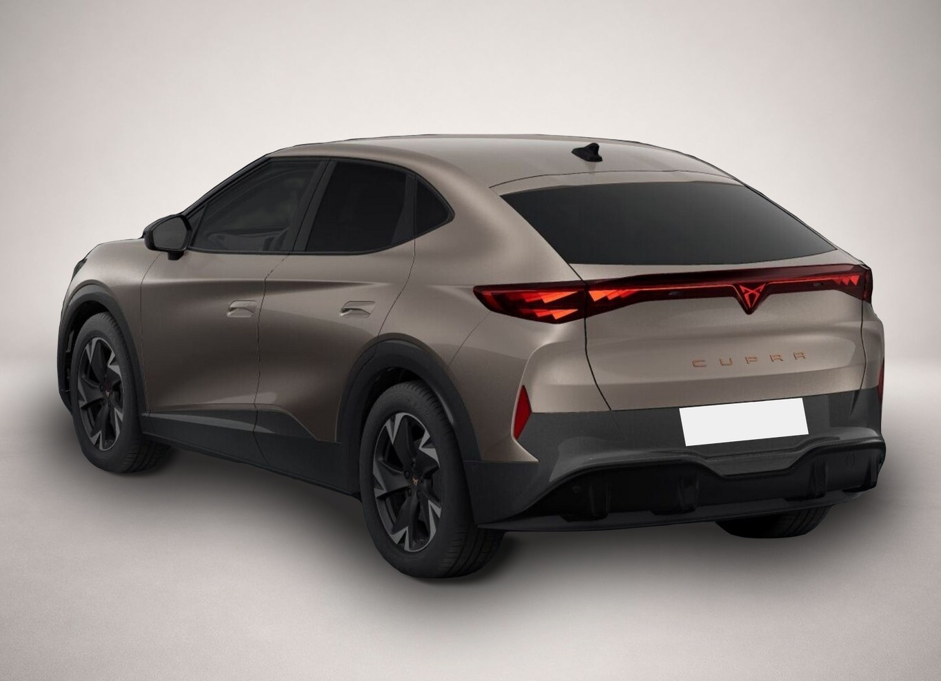 Bild 5 Cupra Tavascan 77 kWh Endurance