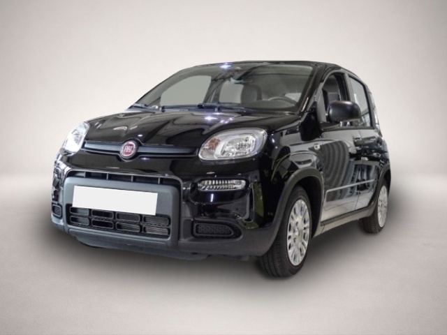 Bild Panda Fiat