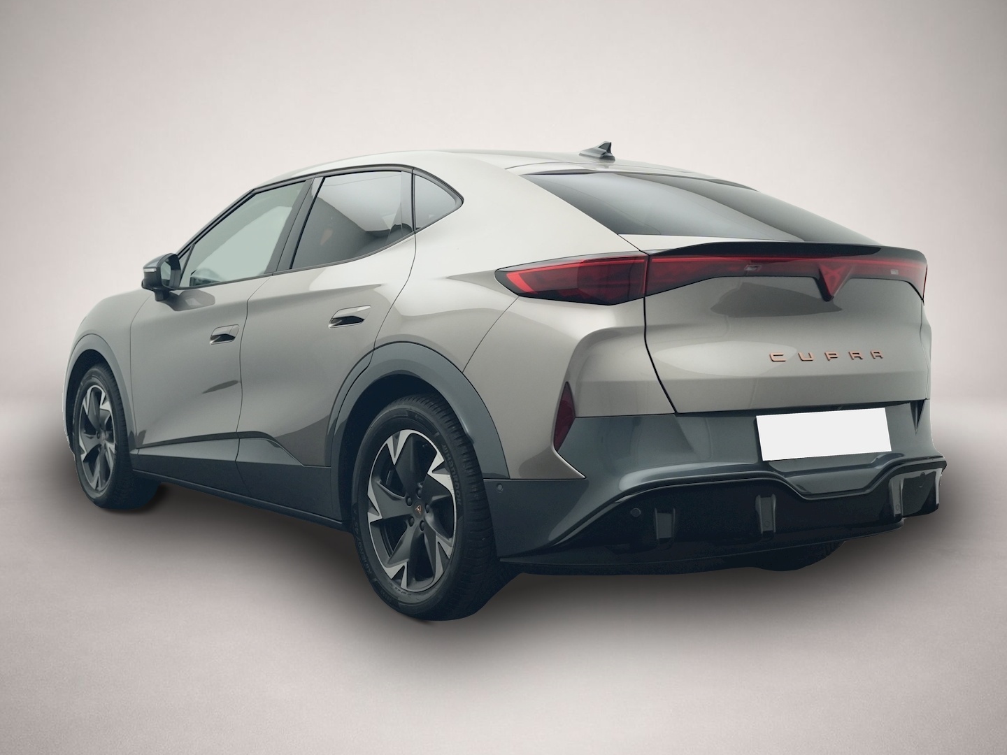 Bild 3 Cupra Tavascan Endurance ALCANTARA WÄPU 360 NAVI