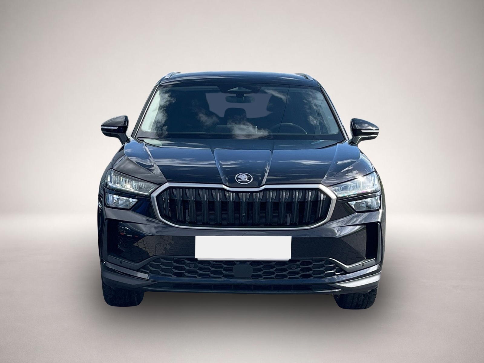 Bild Kodiaq Skoda