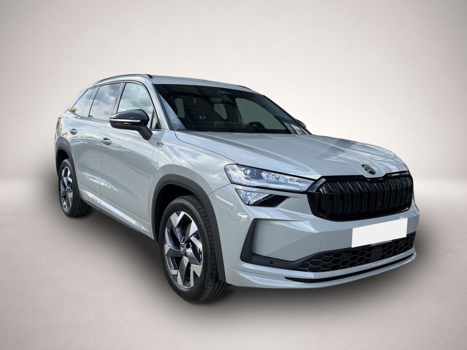 Bild 7 Skoda Kodiaq 2.0 TDI DSG 4x4 Selection AHK ACC MATRIX