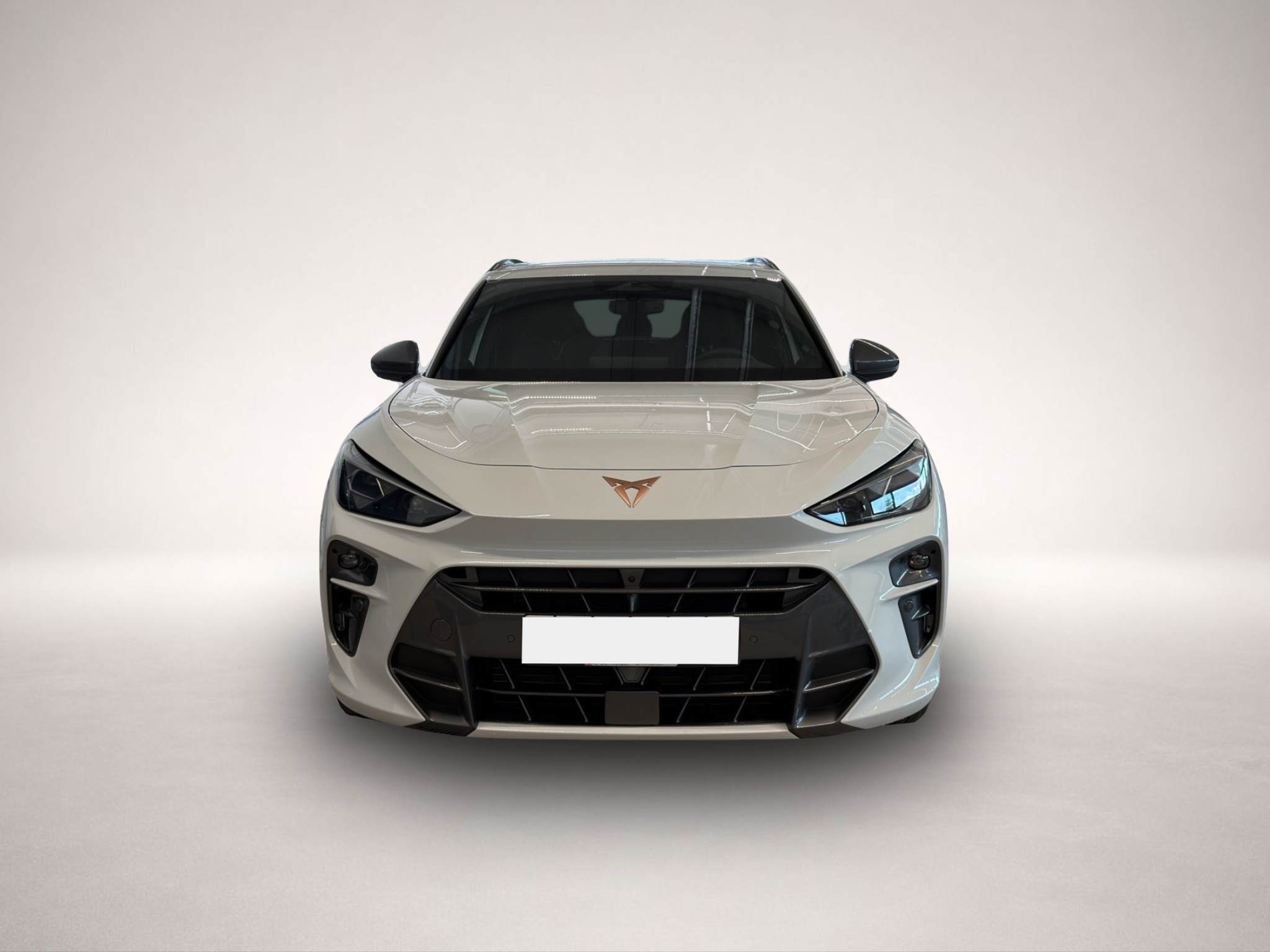 Bild 2 Cupra Terramar 2.0 TSI DSG 4Drive VZ HD-MATRIX+NAVI+SE