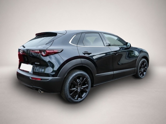 Mazda CX-30 CX-30 e-SKYACTIV-G 140PS 2.5L 6MT FWD Homura LED - Thumbnail 2