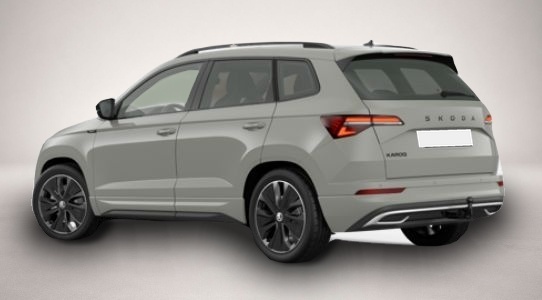 Fotografie 3 des Skoda Karoq 2.0 TSI 7-Gang-DSG 4x4