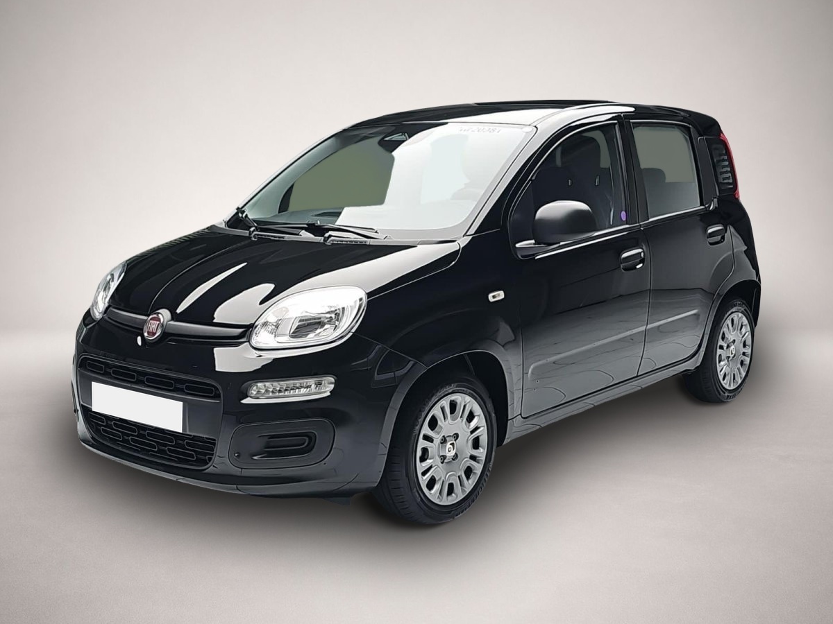 Bild Panda Fiat