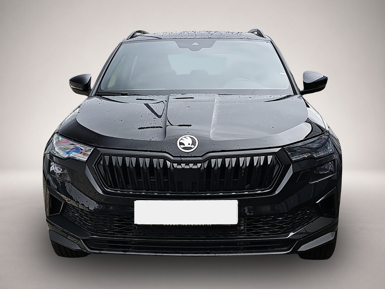 Bild 2 Skoda Karoq 2.0 TSI DSG 4x4 Sportline / Leder / Pano
