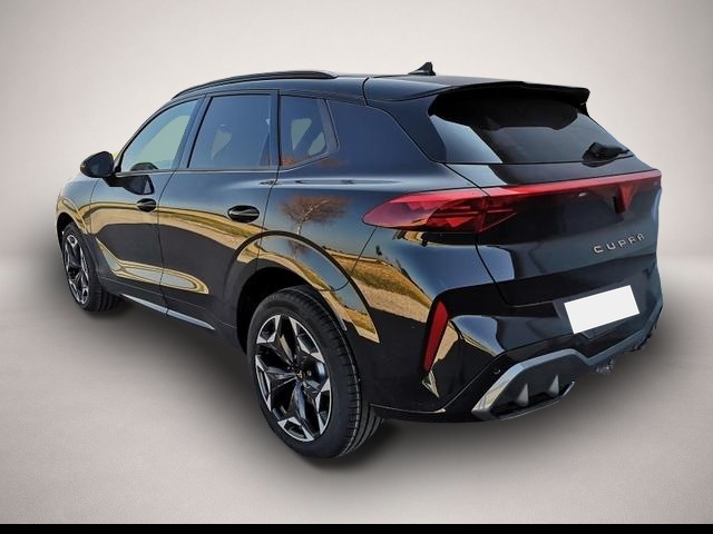 Bild Terramar Cupra
