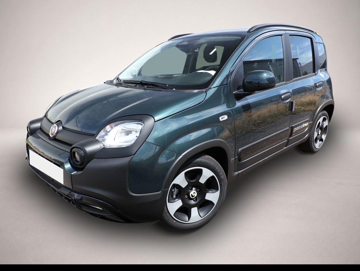 Fotografie 1 des Fiat Panda Cross 5S PDC CarP/AndroidA PrivG 15Z NSW