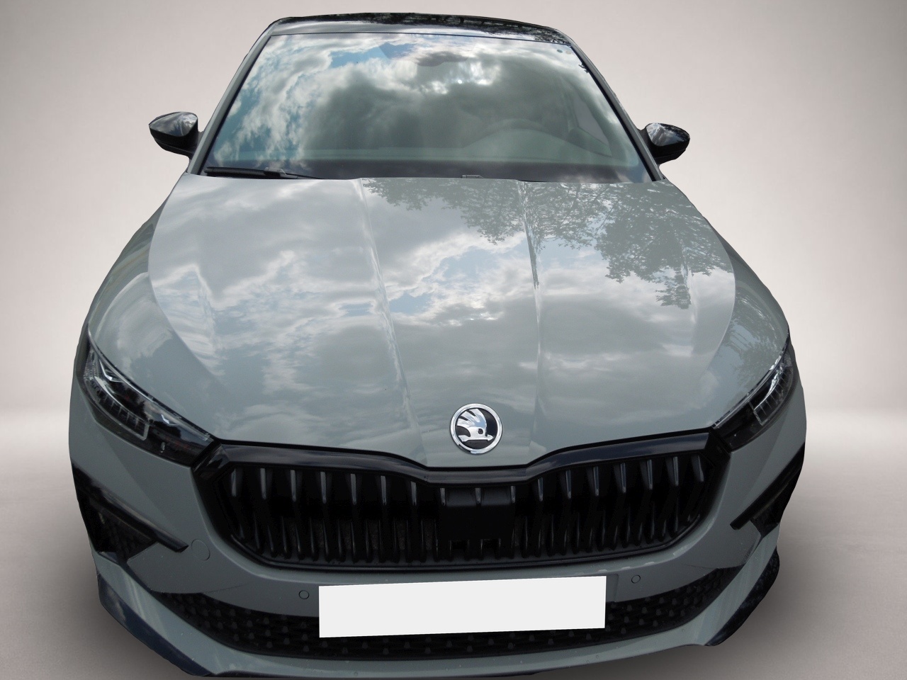 Bild 2 Skoda Scala 1.5TSI Monte-Carlo/Matrix/Navi/Sitzheizung